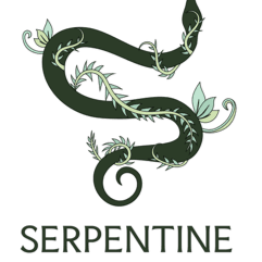Summer Gloss Package at Serpentine Salon in Chapel Hill, NC